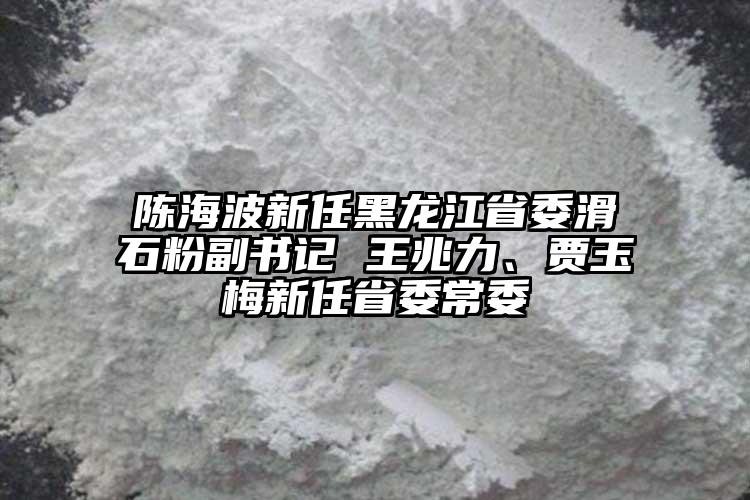 陳海波新任黑龍江省委滑石粉副書記 王兆力、賈玉梅新任省委常委