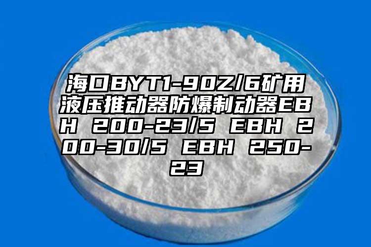 海口BYT1-90Z/6礦用液壓推動(dòng)器防爆制動(dòng)器EBH 200-23/5 EBH 200-30/5 EBH 250-23